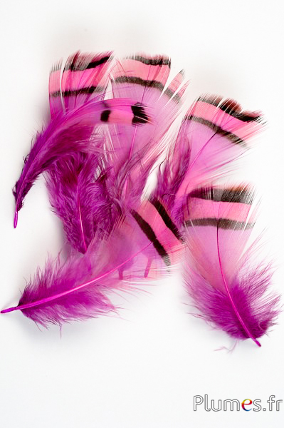 Perdrix - 3-7 cm - fuchsia